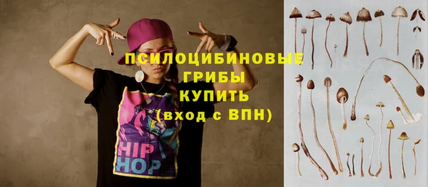 ECSTASY Новодвинск