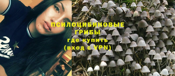 прущие крисы Нея