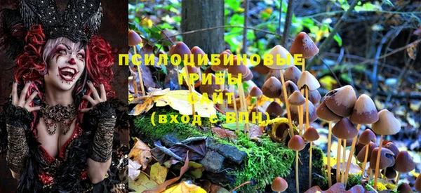 прущие крисы Нея