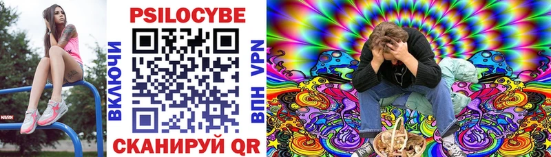 Псилоцибиновые грибы Psilocybe купить закладку Энгельс