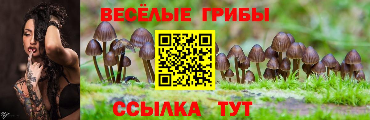 Псилоцибиновые грибы мицелий  даркнет сайт  Энгельс  Вход с VPN 